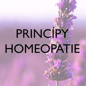 principy homeopatie